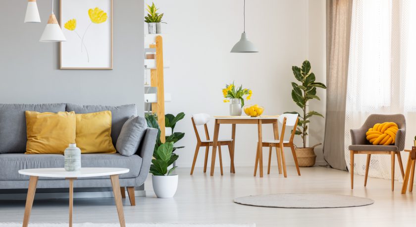 Open space living and dining room interior with gray sofa, wooden tables, white chairs and plants. Real photo